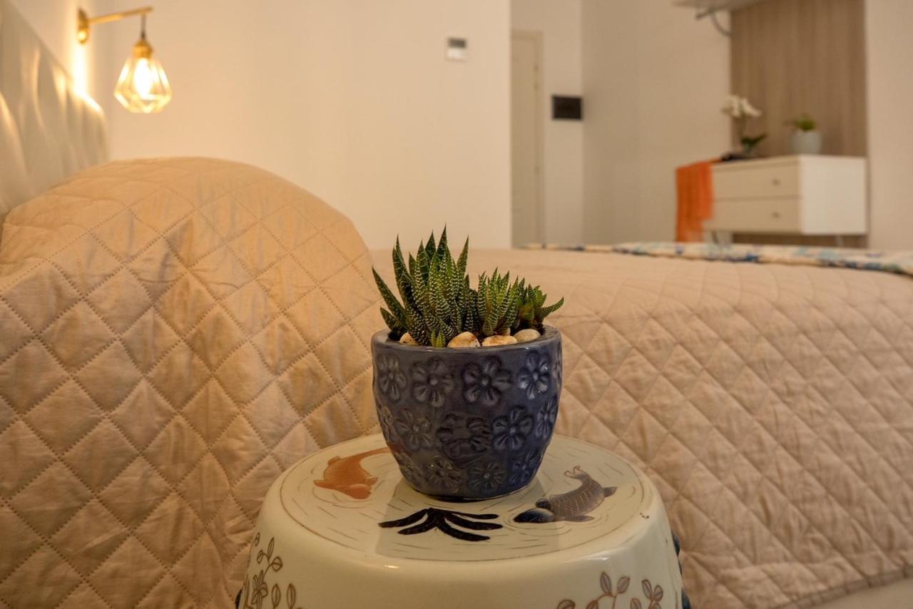 Salus Inn 罗马 外观 照片